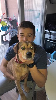 Mon petit frère avec un chien que j’ai garder à la maison 