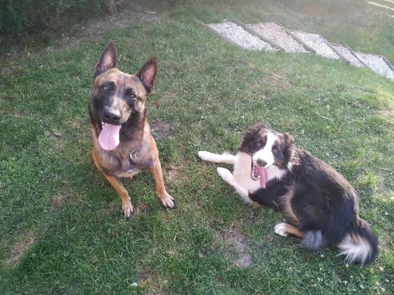 Taz et Nouky (un copain)