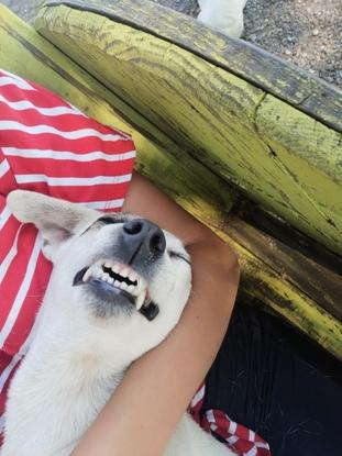 Sourire du jour, bonjouuur