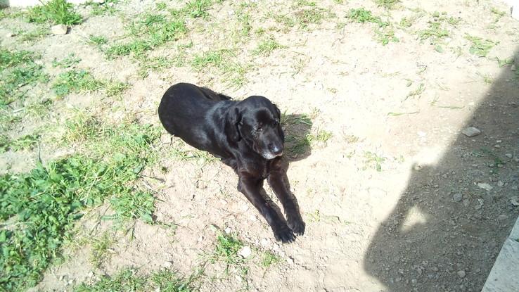 Belley, 10 ans qui prend le soleil