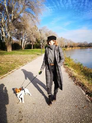 🌳🍂 🐕 promenade du jour 🍂🌳