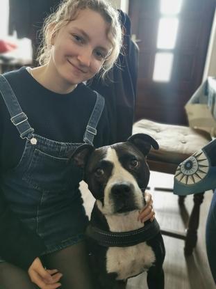 Angel chien de 9 ans avec qui j'ai partager promenades, jeux et beaucoup d'amour depuis qu'elle est toute petite ! 