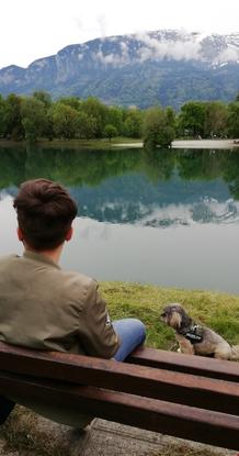Promenade au lac 🌲🌳