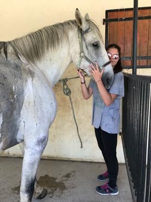 Nous sommes aussi passionnées d’équitation 