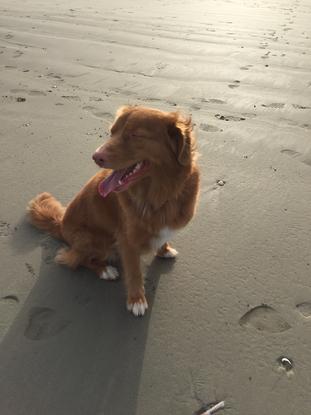 Elle m’emmène aussi à la plage ! 