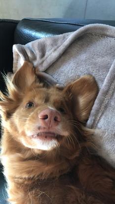 Coucou  je cherche un ou une ami(e)  pour venir se balader avec moi ! 