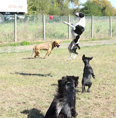 Partie de jeux