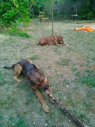 Linas et sa copine noisette dans le jardin