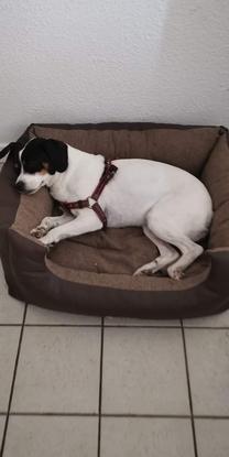 La petite Fidji que nous avons jusqu'à mercredi qui est arrivé ce matin 
