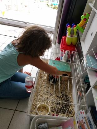 Milidou, le lapin de ma sœur, que nous avons gardé la semaine dernière pendant les vacances de mes parents 