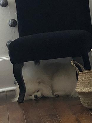 Petite sieste chez tata ❤️