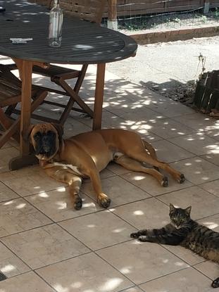 Guss et floppy
