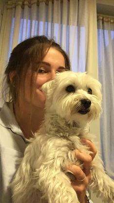Ma chienne Shabby 