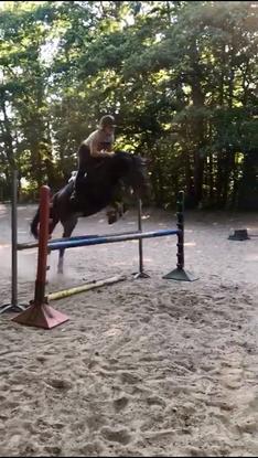 Moi à cheval 