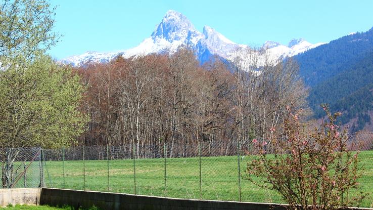 Parc devant Dent d'Oche