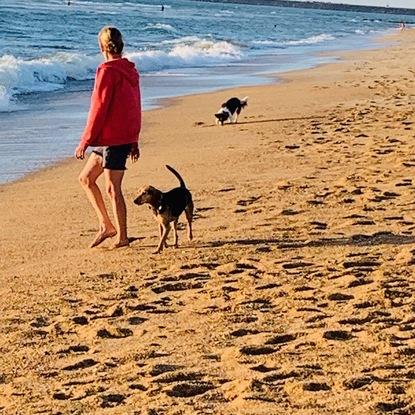 balade à la plage ...