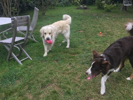 jeux dans le jardin !!