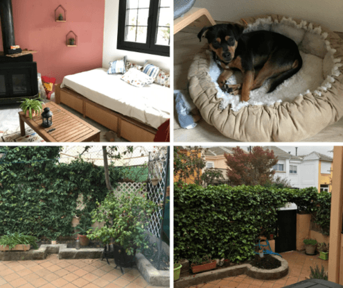 Nuestra casa y los patios