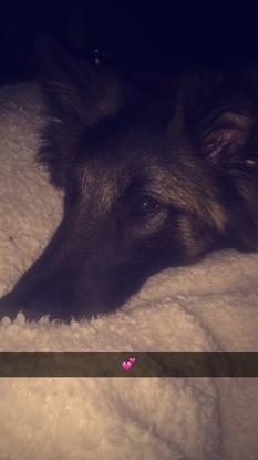 Nirvana ☺️