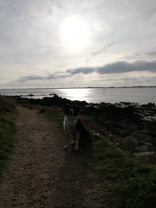 Elfie en balade en bord de mer (Bretagne) 