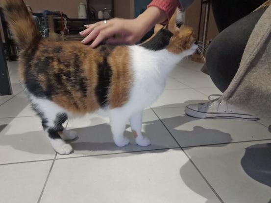 Welcome gentille minette a son domicile 