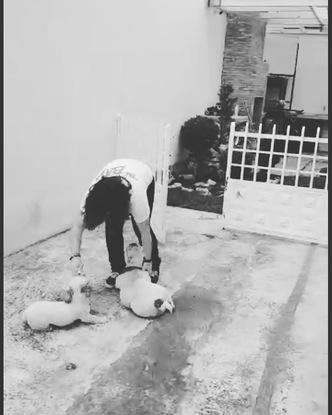 Moi et mes deux chiens Toreta et Lucie