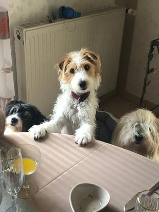 Des supers copains ! 