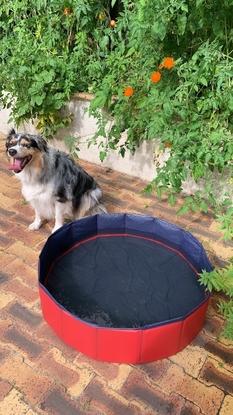 Avec l’achat de sa piscine !