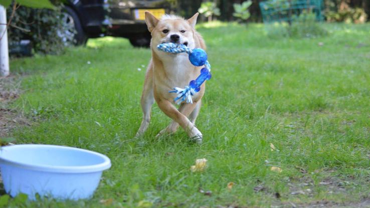 Yuko Mon Chien