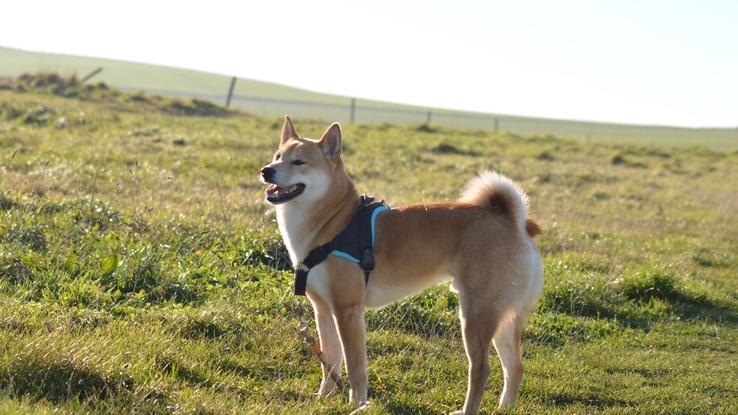 Yuko