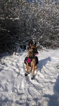 Brrrr il fait frooiid 