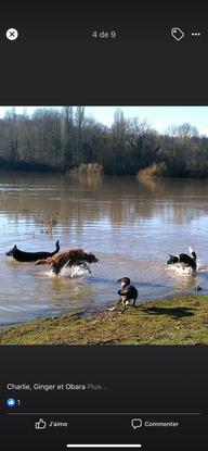 Balade de groupe 