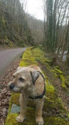 Mon chien Adeline et moi en Bourgogne