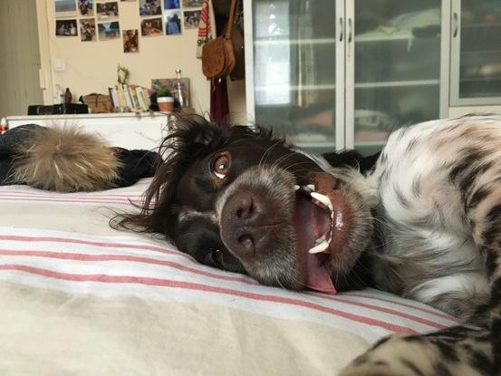 Petite sieste !
