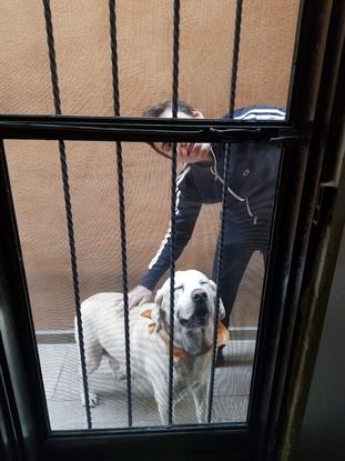 Mon petit frère avec Coco 