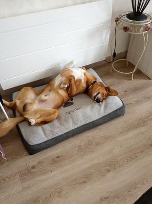 Elle est pas belle la vie.