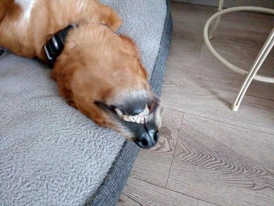Un petit sourire pour vous