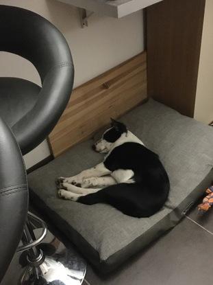 sieste après une longue balade