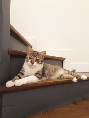 Noisette mon bébé de 11 mois, une vraie fripouille