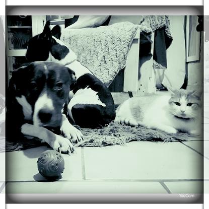 ATHENA, LEETCHI ET TOKYO