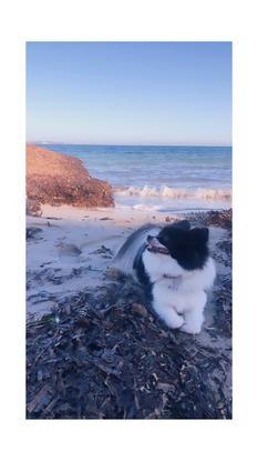 Un petit tour bord de mer 🌊 