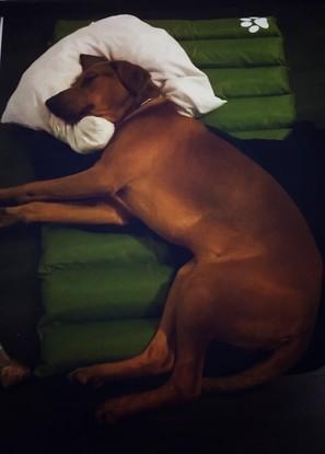 Zzzzzz