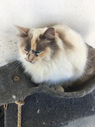 Mistinguette 😍