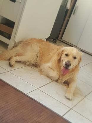 Apolo❤️