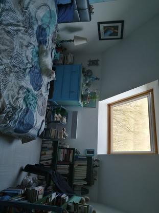 Chambre d'ami où peuvent dormir les chiens 