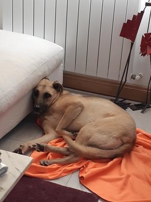 Jolie et douce Clio