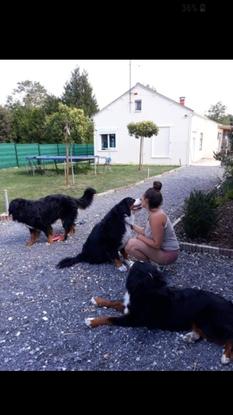 Mes trois monstres avec une partie de ma maison 