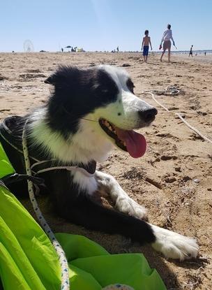Jenny à la plage