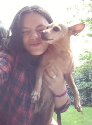 Câlin avec Emy pinscher nain de 10ans 🤗