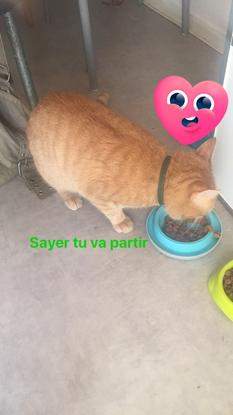 Miam je suis gâté